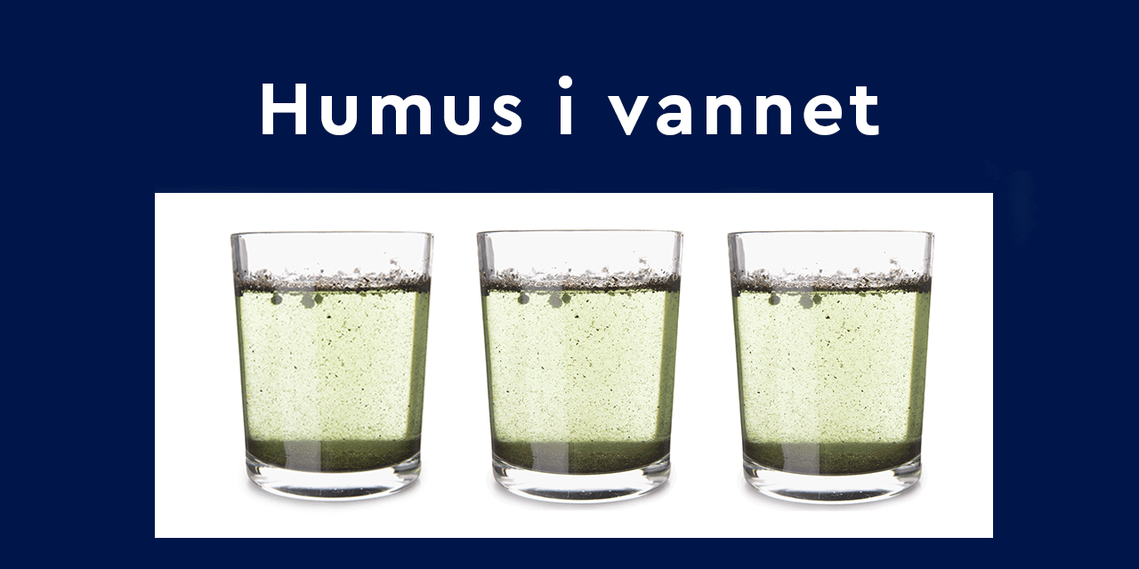Humus-i-vannet_1280x640