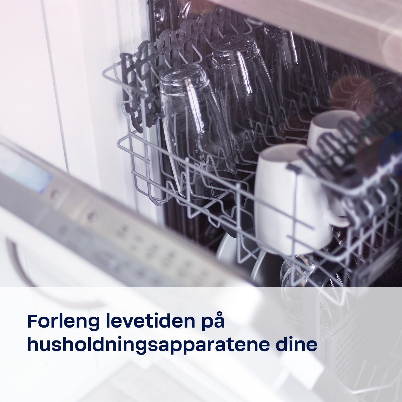 Forlenget levetid_1280x1280