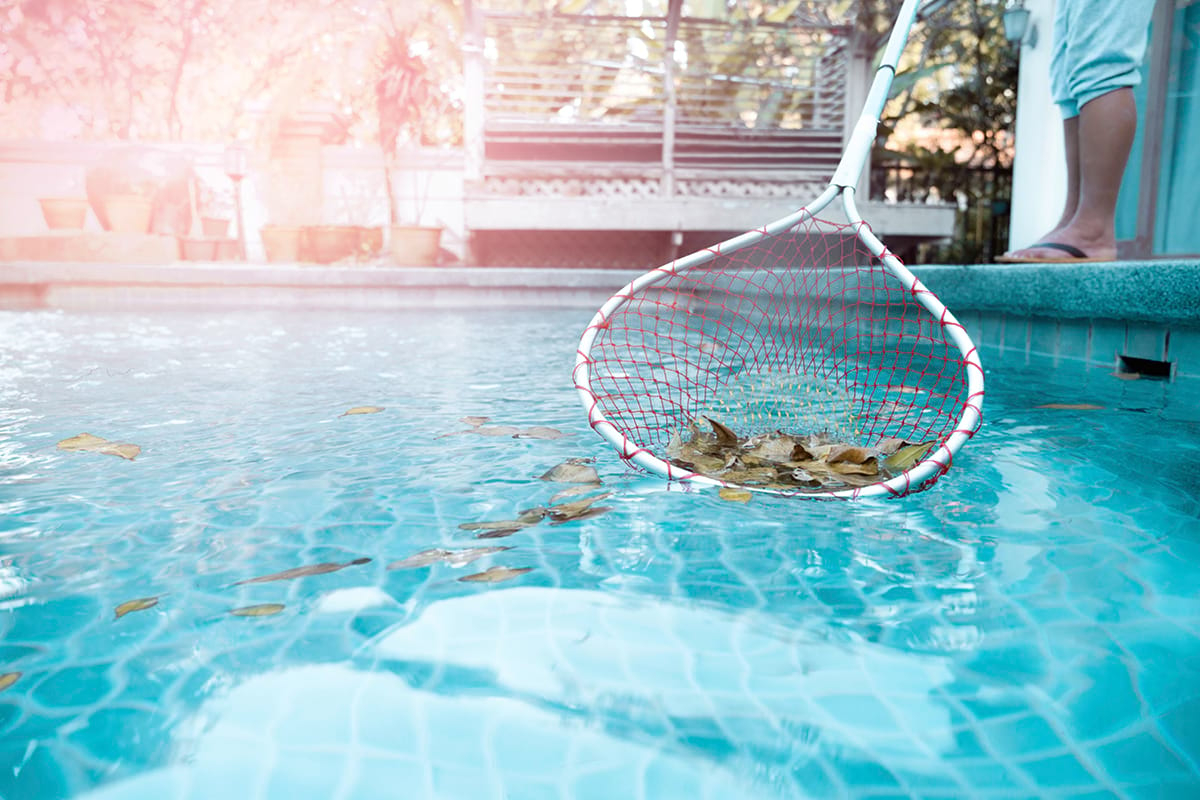 shutterstock_796882429_bearb_Facebook