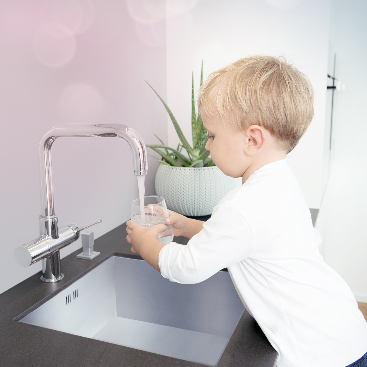 dvgw artikel stage 1280x1280_(1)